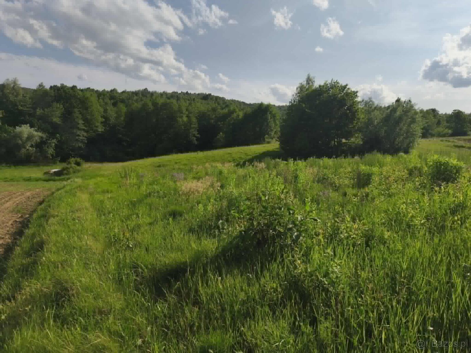 Działka w Lipnicy Dolnej - 99 arów - 5