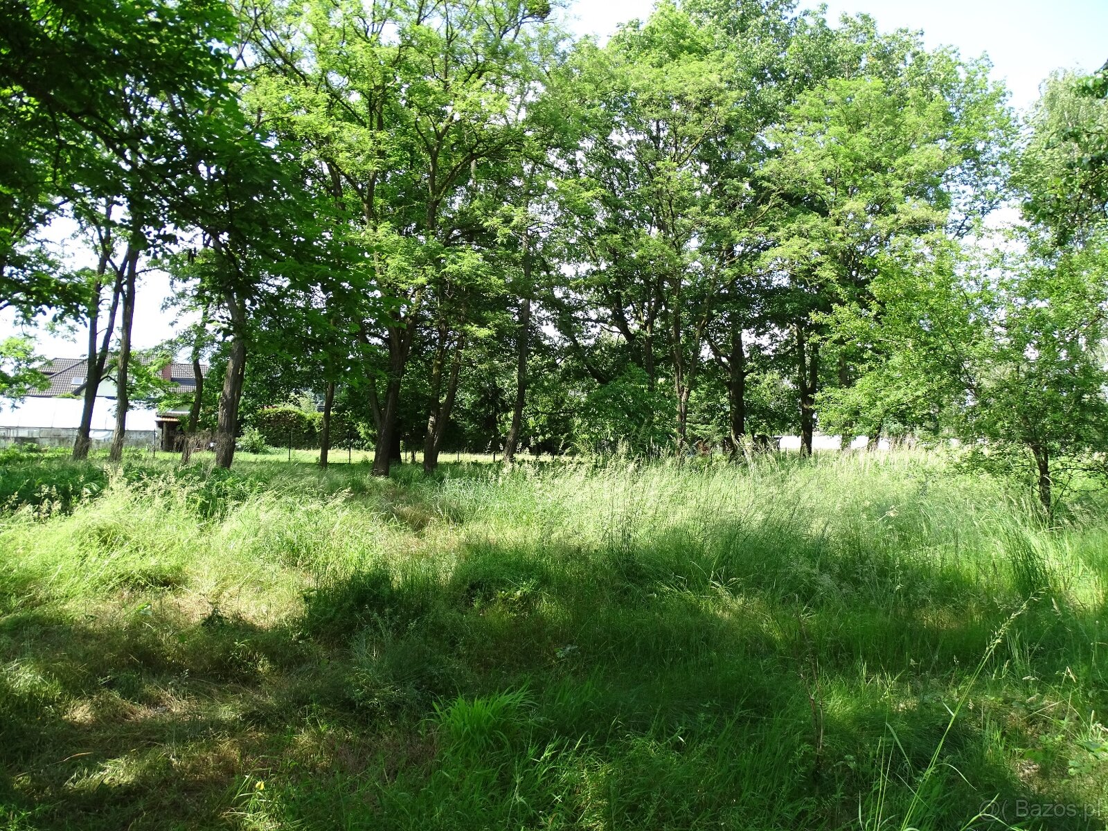 Działka pod inwestycję mieszkaniową, Zajączków - 5