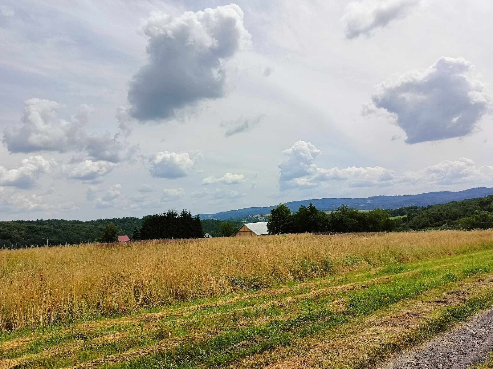 Działka budowlana -Ryglice 30,42 art - 5