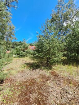 Działka budowlana o powierzchni 1686 m2, Prażuchy Nowe - 5