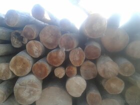 Drewno opałowe bukowe - 5