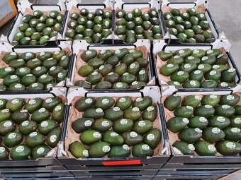 Import owoców i warzyw - 5