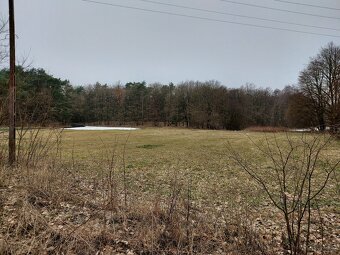 działka budowlana o pow. 6857 m kw., Glinki (gm. Rojewo) - 5
