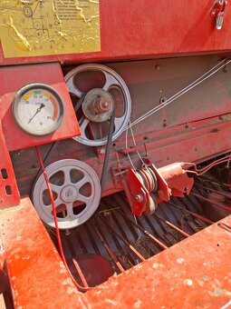 Sprzedam prase zwijke Ford - 5