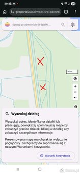 Sprzedam działki leśne - 5