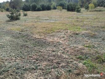 Działka 1050m gm. Aleksandrów Łódzki - Ciężków - 5