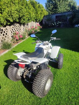 Yamaha Blaster 200 2T - 5