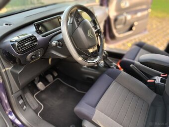 C 4 cactus - 5
