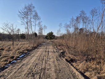 Działka Rolno-Rekreacyjna 3000m2 przy Puszczy Bolimowskiej - 5