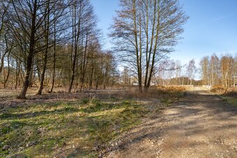 Działka z wydanymi warunkami 120 zł/m2 las jezioro - 5