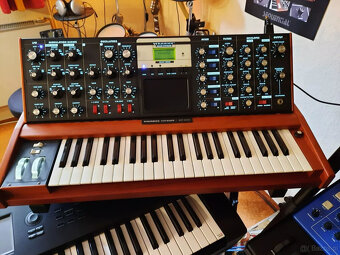 Minimoog Voyager Lunar Cherry, używany, dobry stan - 5