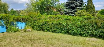 działka rekreacyjna - 5