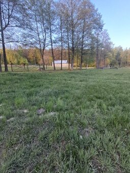 Działka budowlana o powierzchni 3900m2, Stobno Wieś - 5