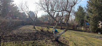 Sprzedam działkę rod w Toruniu - 5