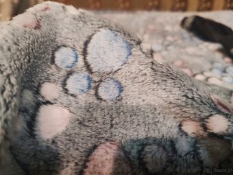 Buty dla psa do 9kg 3XL + kocyk polarowy w łapki - 5