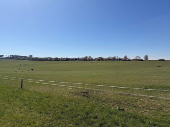 stajnie dla koni, źrebiąt i emerytów - 5