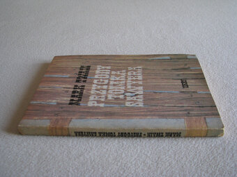 Przygody Tomka Sawyera, Mark Twain - 5