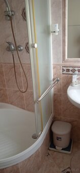 Do wynajęcia bezpośredniego - 5