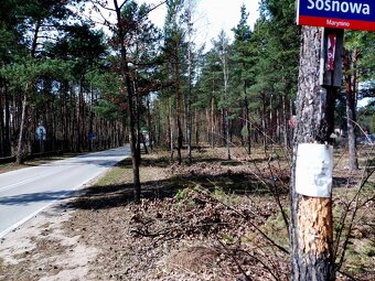 Leśno-budowlana - 5