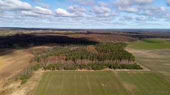 Działka z warunkami tylko 129 tyś zł ( 1188 m2) okazja - 5
