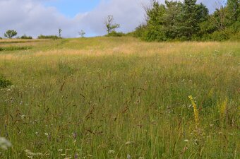 rewelacyjna działka rolna o powierzchni 1,48 ha Posada Jaśli - 5
