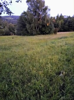 Działka w Beskidzie Niskim- Twoje miejsce na relaks i spokój - 5
