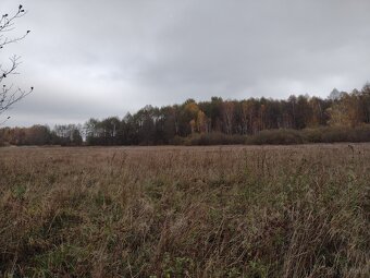 Sprzedaz dzialki - 5