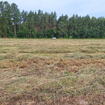 Sprzedam działkę niewydzielona od 3000m2 - 5