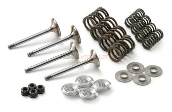 KTM 530 engine silnik tunerski wk1 - 5