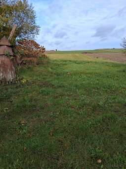 Sprzedam posesję - 5