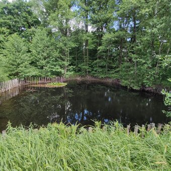 Budynek Przemysłowy 360m² + Potencjał 360m² + 4,47ha - Szyma - 5