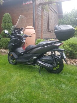 Honda forza 125 ładna - 5