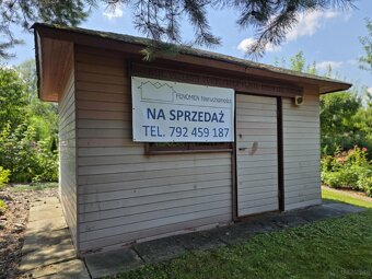 ROD "Słonecznik" Tarnów ul. Ostrogskich - 5