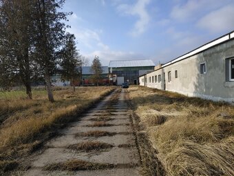 Syndyk sprzeda zorganizowaną część przedsiębiorstwa - 5