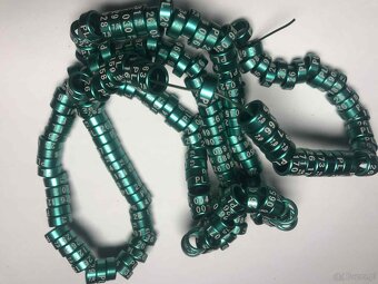 Obrączki na rok 2026 kolor zielony - 5