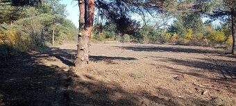 Atrakcyjna działka z dostępem do mediów (światłowód) w drodz - 5