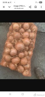 Warzywa i owoce wszystko - 5