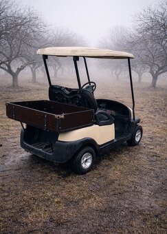 Elektryczny wózek golfowy - 5