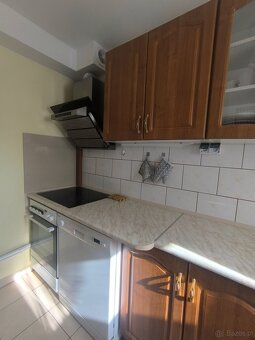 kawalerka 28m2  ładna, dobry dojazdi spokojna okolica - 5