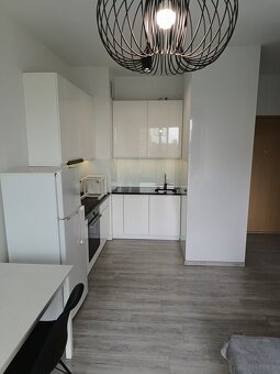 Do wynajęcia apartament dwupokojowy 37m2 - 5