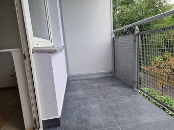 Wynajmę mieszkanie w Śródmieściu - 5
