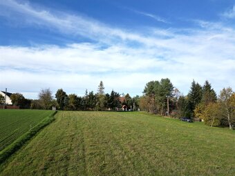 Piękna Działka w Dębnie 1529m2 - 5