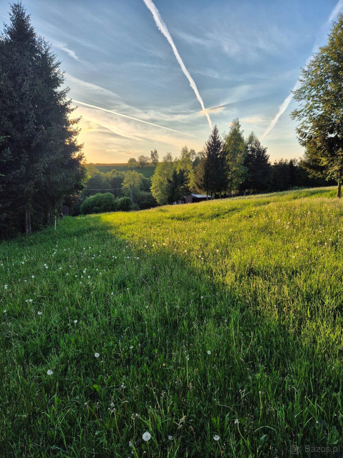 Słoneczna działka Nowy Targ - 6