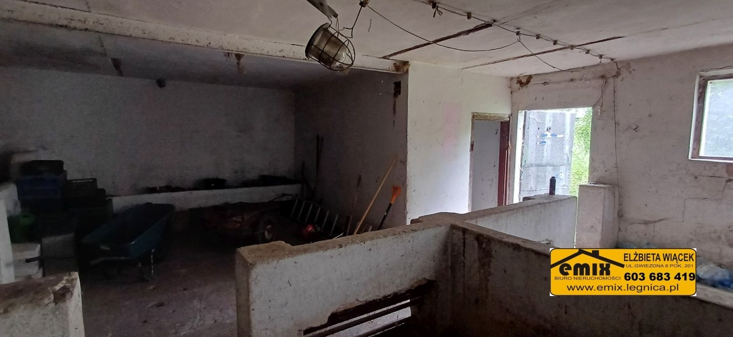 Dom z działką w Wojciechowie k. Chojnowa, możliwa rozbudowa - 6