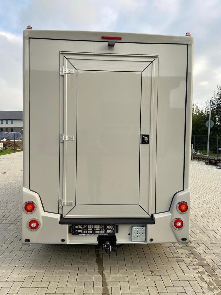 Renault Master – Transporter koni 1–2 konie | 2024 - 6