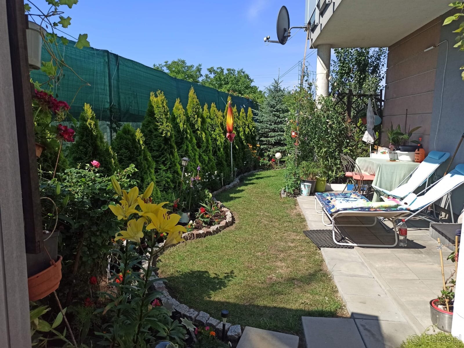 Sprzedam mieszkanie bez opłat czynszowych M-3 w Białołęce - 6