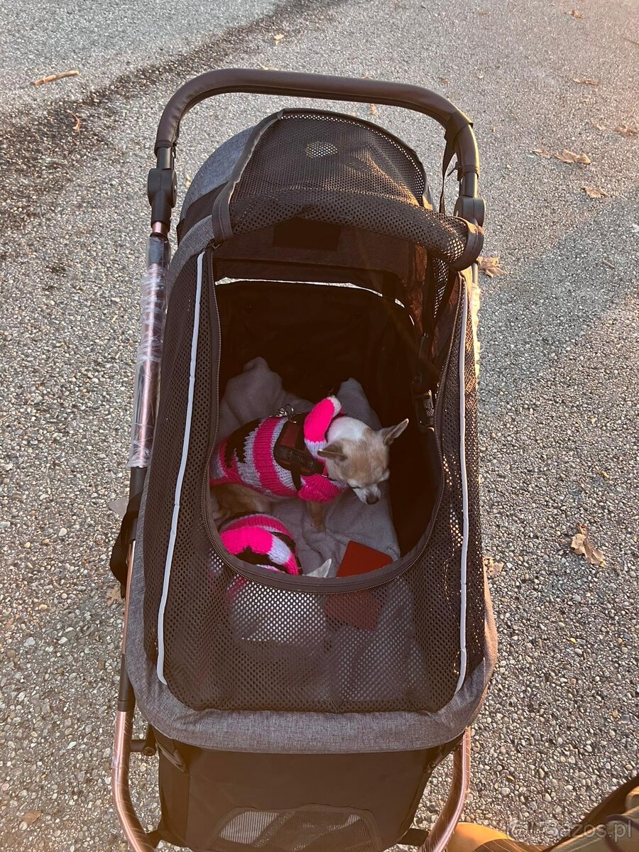 Wózek dla psa do 23kg PetBuggy - 6