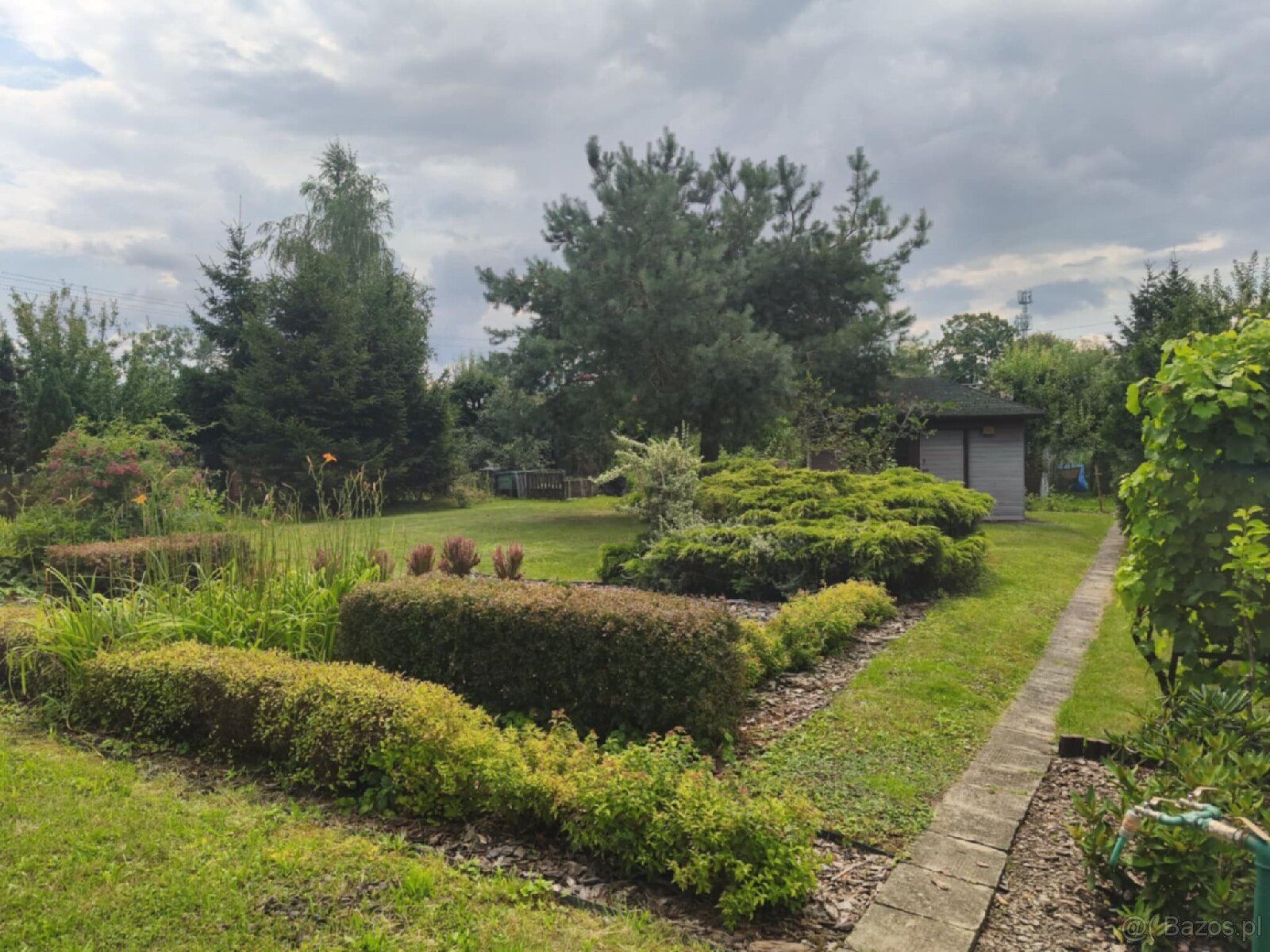 ROD "Słonecznik" Tarnów ul. Ostrogskich - 6