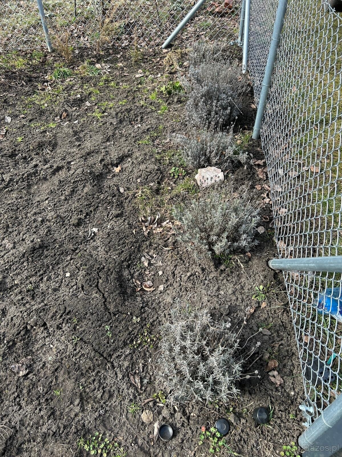 Sprzedam Działkę ROD we Wrocławiu na Kuźnikach - 6