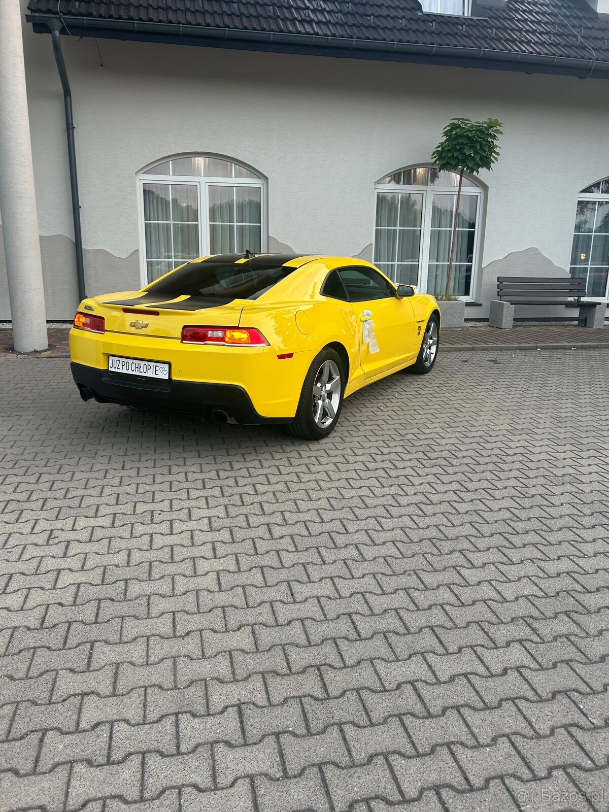 Camaro 3,6V automat - 6